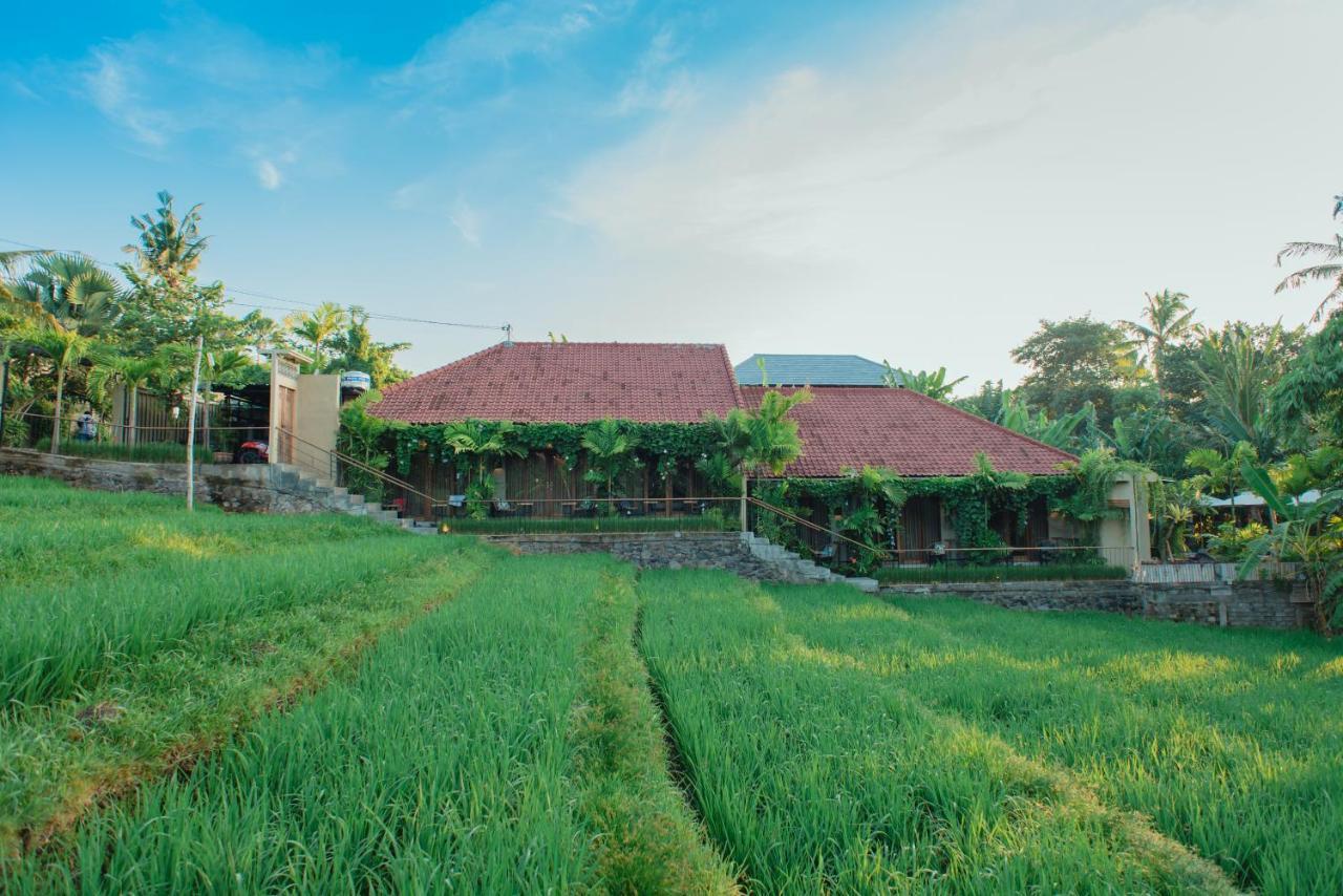 Pangkung Sari Bed And Breakfast Canggu Exterior foto